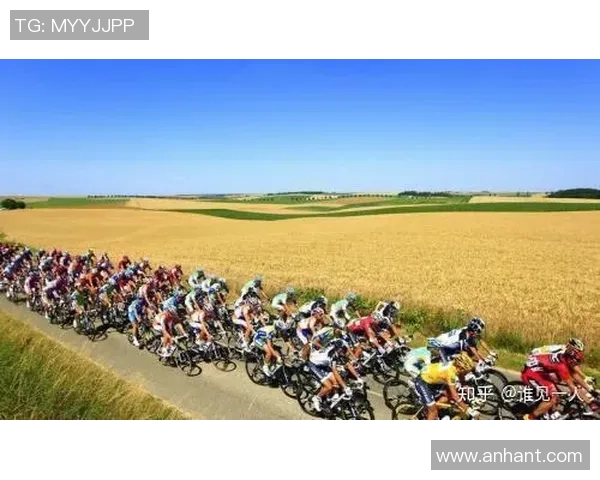 2023年公路自行车环法赛阶段赛果分析与精彩回顾